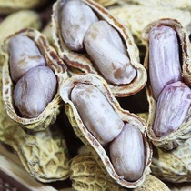 (Nongse Hui) Longyan peanut boiled white dry salty dry with shell peanut multi-taste choice 500g 2500g