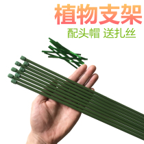 New plant ground more plant tree support tree stent tomato monthly season orchili pepper support pole gardening flower frame