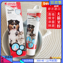 Angel pets Imported from the Netherlands to help pets tartar teether Cats and dogs in addition to bad breath and plaque in their mouths