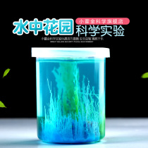  Childrens science experiment toy Chemistry Primary school students science and technology small production Handmade DIY invention Water garden