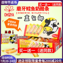 Japan imported childrens cheese fan house OHGIYA cod cheese strips Cheese strips 2 8g*48 whole box