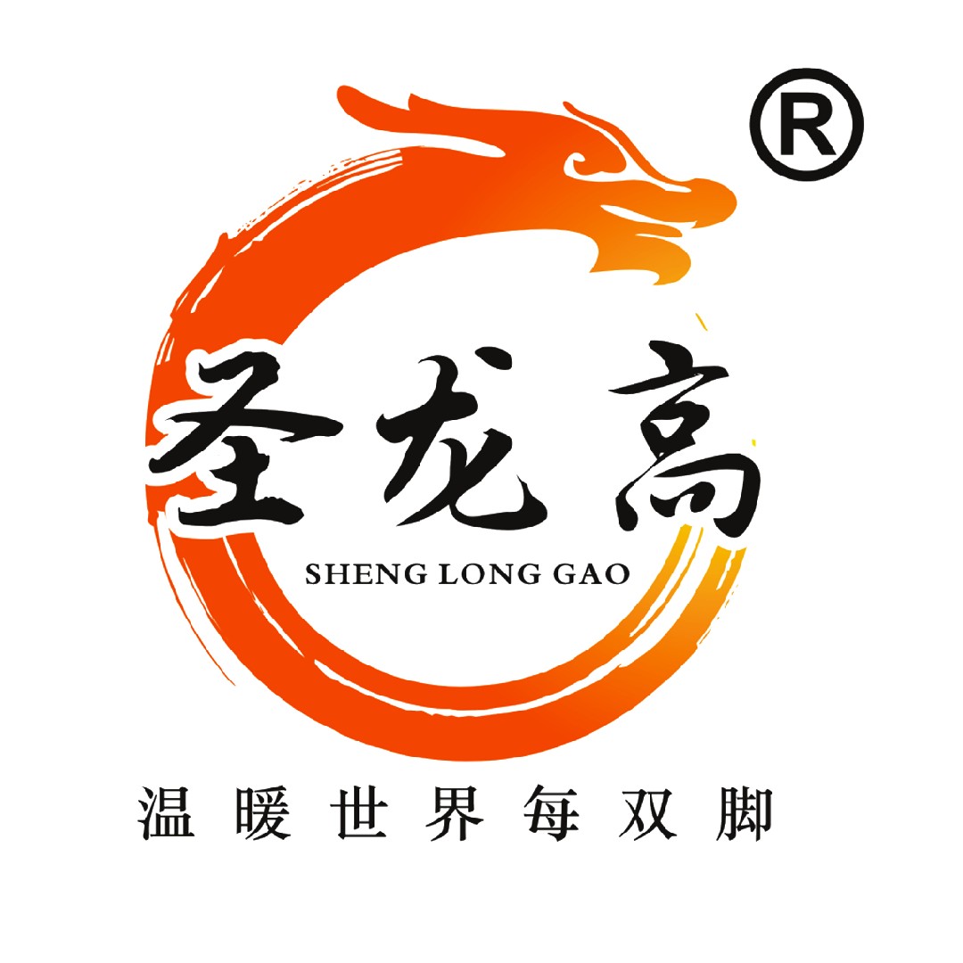 圣龙高企业店