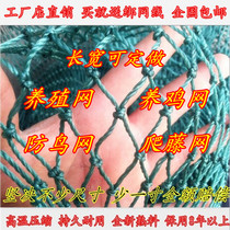 Chicken nylon net fence net chicken net chicken net pheasant net vegetable garden net blocking chicken net