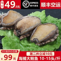  2 kg 2 boxes of fresh extra large abalone fresh seafood aquatic products frozen Buddha jumping over the wall heated ready-to-eat pot dishes small abalone