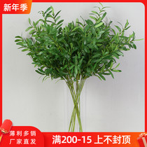 Simulation olive branch wedding olive leaf flower arrangement green leaf plant decoration living room bedroom with grass flower hotel Photography