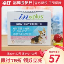 Medds excellent intestines treasure S dog probiotics conditioning stomach Teddy diarrhea puppies diarrhea pups diarrhea diarrhea