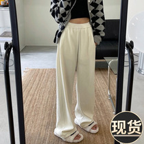ader2022 autumn and winter new plus velvet thickened pants pear-shaped figure wide-leg pants loose casual all-match straight-leg pants