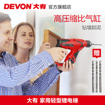 Dayou Dayou household lithium battery charging light wall concrete opening hammer electric drill Impact drill tool 1702