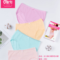 Anne Fang 6 womens underwear elastic cotton medium-high waist pure color triangular bottom pants high waist breathable pure cotton shorts 3362
