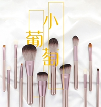 Charm Dou Cangzhou small grape 12 makeup brush set beginner full set of eye shadow brush student cheap portable storage