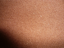  Big red eggs hidden eggs fine eggs abundant shrimp eggs high incubation rate abundant shrimp eggs bulk fry open fish feed