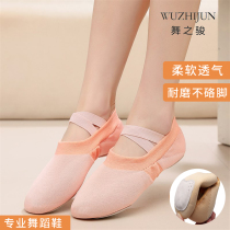 Flying Weasel-powered Cloth Dancing Shoes Women Adults Ballet Shoes Soft-bottom Folk Dancing Skills Shoes Cat Claw Body Yoga Shoes