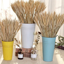 Natural pastoral dried flower eternal flower decoration wheat rice ear wheat ear wheat barley window farmhouse photo props
