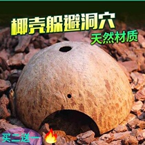 Coconut shell Dodging cave Natural house Spider Scorpion climbing Pet Hermit crab Scorpion palace snake Yellow edge turtle Reptile landscaping