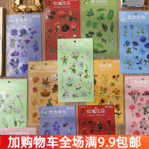 Handbill sticker PVC waterproof adhesive painting on New Years Eve Flowers Diary album material Decorative Sticker