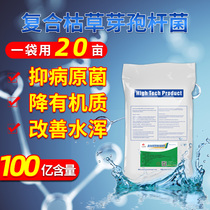 Compound Bacillus subtilis aquaculture livestock and poultry use decomposition residual bait manure microorganisms to reduce ammonia nitrogen