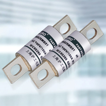 HURO Shanghai Shanghai Gong Automotive DC Fuse RSB21MB89EV DC700V 30A40A50A60A80A