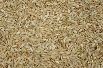 3 pieces of Chaoshan farmhouse Self-planting brown rice germ rice 5 grain cereals 500g vacuum clothes 500g