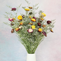 Yunnan natural real flower dried flower bouquet lover grass small Daisy sunflower hipster furniture decoration decoration