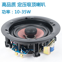 Top speaker constant pressure coaxial top divider store Hotel Club beauty background music 10-35w
