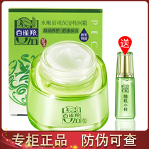 Pagel Lam cream Tender Times now moisturizing special moisturizing cream 50g hydrating moisturizing lock water moisturizing