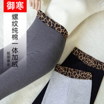 Gush pants female outwear Bottoms Pants Autumn Winter 2021 New High Waist Display Slim Fit Slim Fit Slim Fit Warm Pants Integrated Cotton Pants