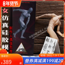 High simulation doll production reference human skeletal muscle texture silicone model Zhou Yi knead plastic turn sugar strongly recommended