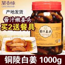 Lan Xiangyuan Tongling white ginger 1000g sauce tender ginger head vinegar soaked ginger Tongling ginger ginger origin ginger ginger sprout pieces