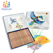 Waldorf Life Museum Stuyman Stockmar student painting color triangle colored pencil 18 1 color iron box