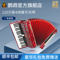 PARROT MINI 9968 accordion 41 keys 120 bass Adult exam beginner playing instrument