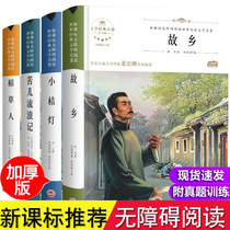 Famous books Full set of 4 genuine books of Lu Xun Hometown Scarecrow book Ye Shengtao sixth grade fifth grade third and fourth grade primary school students must read extracurricular books Bitter children wandering books Original small orange lamp Ice heart