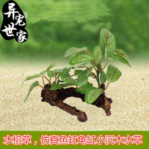 Reptile box landscaping simulation plant aquarium fish tank turtle tank simulation water grass landscape water Banyan realistic green planting bottom