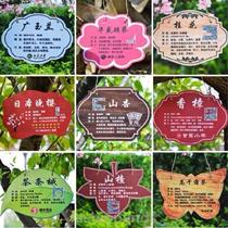 Tree Recognition Card Signs Outdoor Introduction List Mark Card Scenic Spot Identification Card Promotional Card Flower Garden District