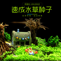 Water Grass Seed Fish Tank Building Plan Aquarium Sea Grass Speed Into Seed Foreground Dwarf Pearl Seed Cow Hair to Leaves