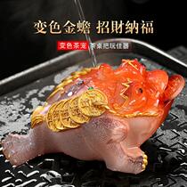 * Tea Campus Campus for Tea Ceremony and Changing Toad Pets can make tea table tea plate tea set boutique jewelry