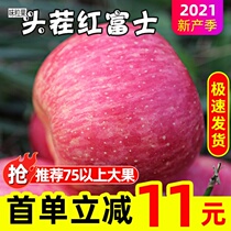 Red Foxapple Apple Fresh Fruit When Season Ugly Apple Whole Box 10 Should Season Head Stubble 5 catties with ten safe and crisp
