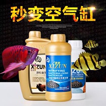  Xizun nitrifying bacteria active probiotics vitality energy source super water stable fish tank water quality stable water purifying agent