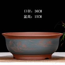 Equal work purple sand large diameter round bowl basin old pile fleshy pot flower pot living room indoor balcony tree planting bonsai basin