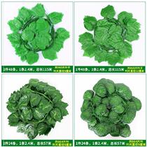 Tree vine winding indoor wall tree leaf green plant red maple leaf green leaf green plant ceiling flower