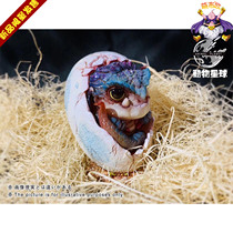 Meng Buo GK SY Animal Planet cave dragon Meng Buo GK limited hand-made statue
