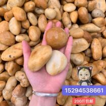 Stone yellow pebbles natural paving small stone flowerpot decorative paving stone landscaping stone