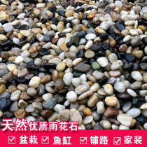 Natural rain flower stone pebbles fish tank landscaping original stone small white stone colorful stone goose soft stone Pebble Pebble colored stone