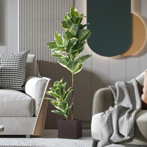 Roman Mom Nordic emulated plant flower leaf rubber tree Indoor green plant Decorative Floor Clothing Shop Window Swing