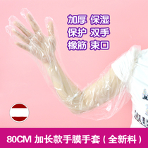  Disposable extended gloves Waterproof PE PET animal husbandry care Cleaning housework Hand mask maintenance tasteless thickening