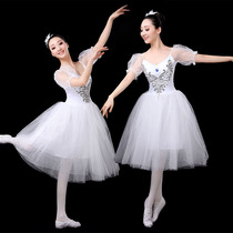 Adult professional dance one-piece gauze skirt female ballet tutu skirt Swan Lake performance costume bubble sleeve ballet skirt