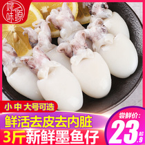 3 pounds of cuttlefish seafood frozen cuttlefish fresh frozen small squid octopus frozen squid fresh