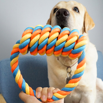 Large Dog Interaction Resistant Bite Cotton Rope Toy Pet Cleaning Teeth Grinding Tooth Stick Gold Mausa Moyer Young Dog Rope Knot Pull Ring