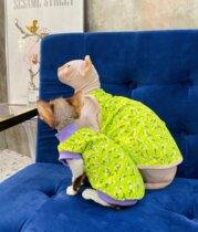 Cream is only hairy cat Sfinks Devin pet kitty summer thin harness vest pure cotton breathable