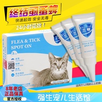 Lanton in vitro insect repellent pet cat with young adult cat drip except flea ticks to lice for lice external 6ml3