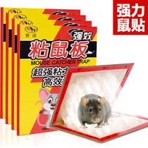 Yunuo 10 sheets of mouse sticky mouse board strong household paste mousetrap dipped in mouse glue to kill mice and catch mice board clip